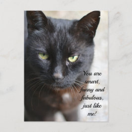 Black Cat Lover-bild med motiv offert Vykort