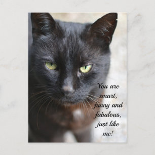 Black Cat Lover-bild med motiv offert Vykort