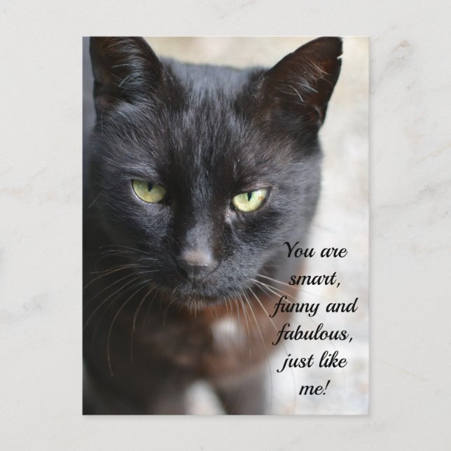 Black Cat Lover-bild med motiv offert Vykort (Framsida)