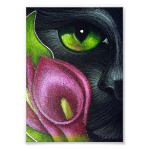 BLACK CAT MAGENTA CALLA LILY FLOWWARE SKRIV UT FOTOTRYCK