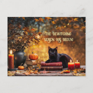 Black Cat Magic Bokar Bewitching Halloween Helg Vykort