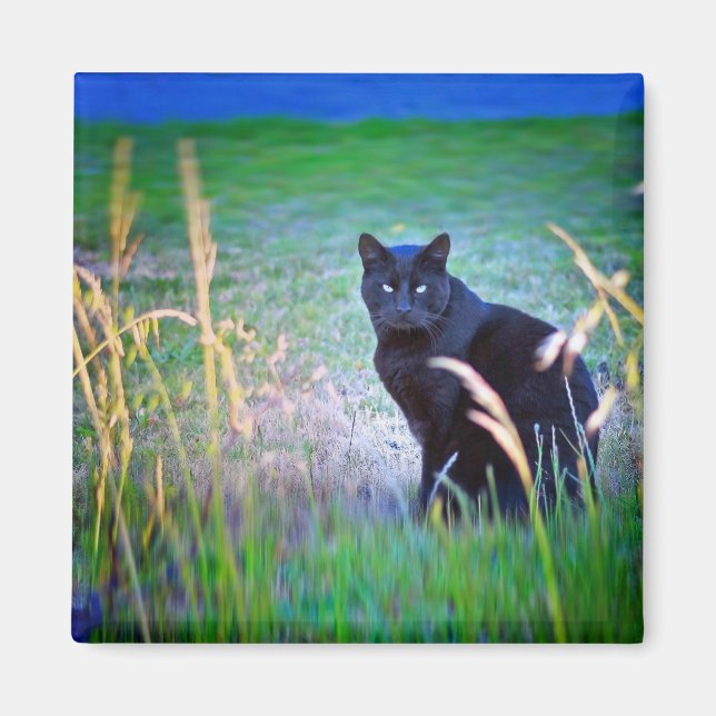 Black Cat Magnet (Framsidan)