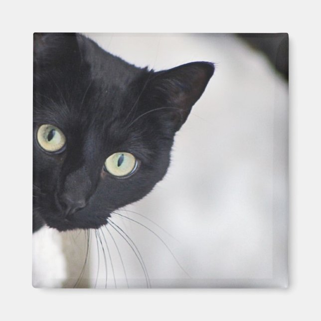 Black Cat Magnet (Framsidan)