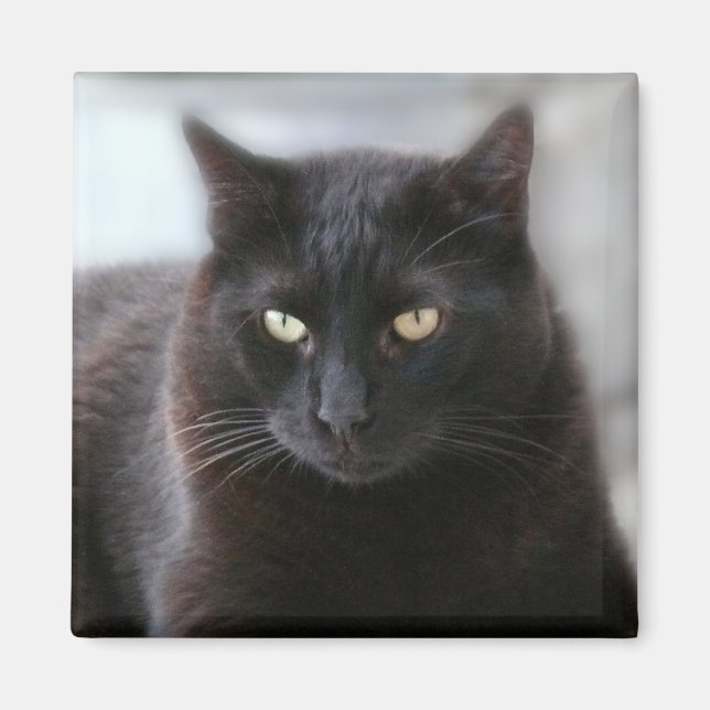Black Cat Magnet (Framsidan)
