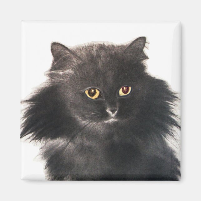 BLACK CAT MAGNET (Framsidan)