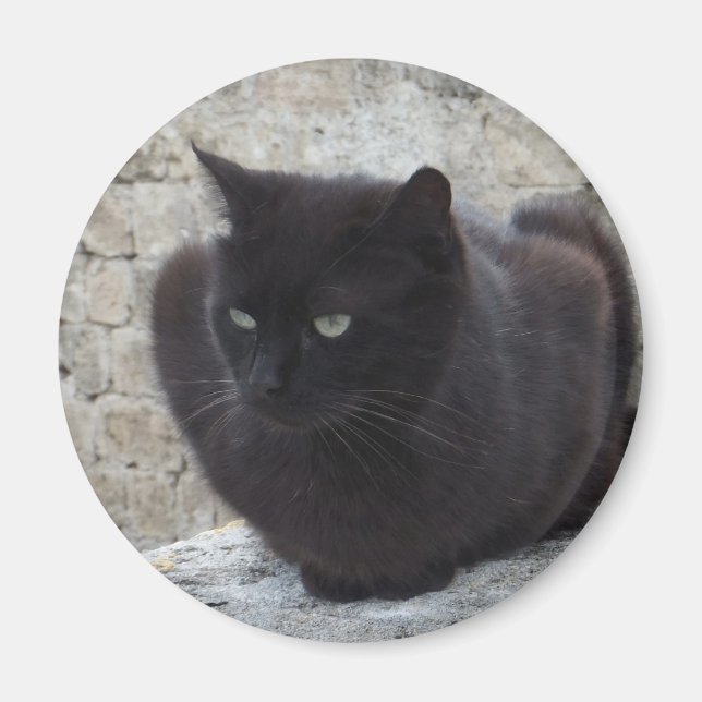 Black Cat magnet (Framsidan)