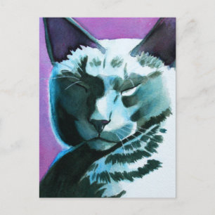 Black Cat Marina Regal Vykort