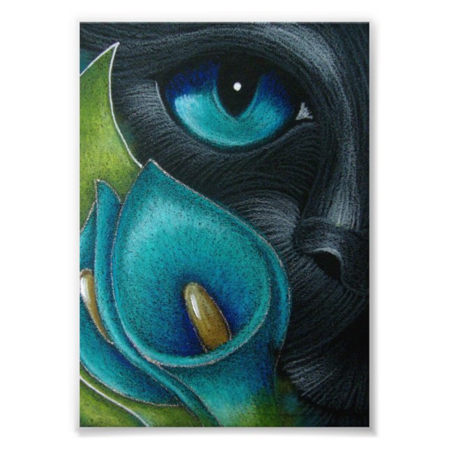 BLACK CAT MED BLUE/AQUA CALLA LILY FLOWARE UTSKRIF FOTOTRYCK (Framsidan)