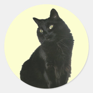 Black Cat med Golden Ögon Sticker Runt Klistermärke