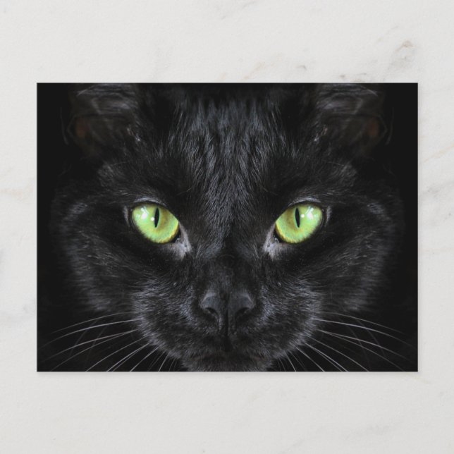 Black Cat med Grönt Öga Vykort (Framsida)