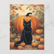 Black Cat med Halloween Pumpkin
