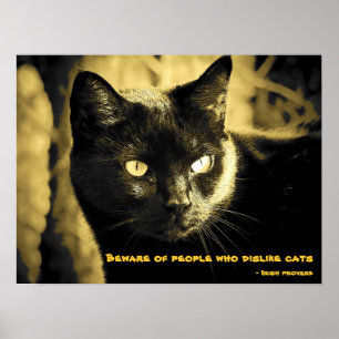 Black Cat Memb med irländskt ordspråk Poster