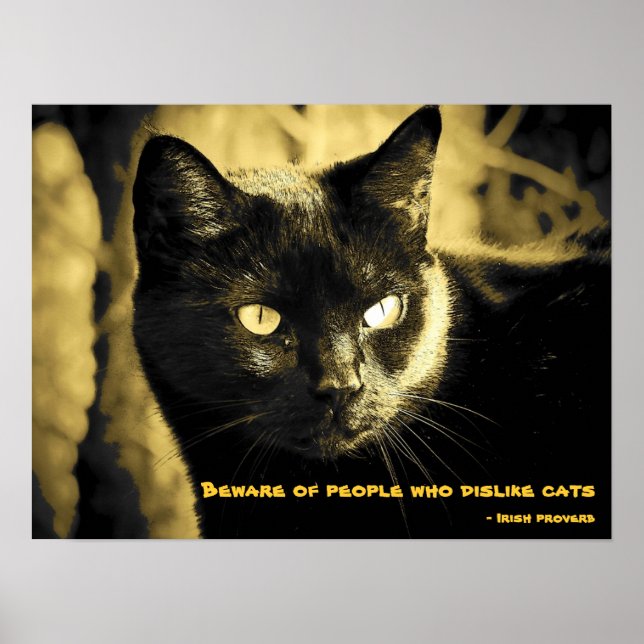 Black Cat Memb med irländskt ordspråk Poster (Framsidan)