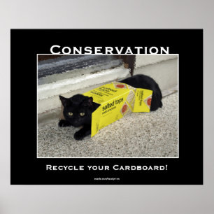 Black Cat Motivational Poster