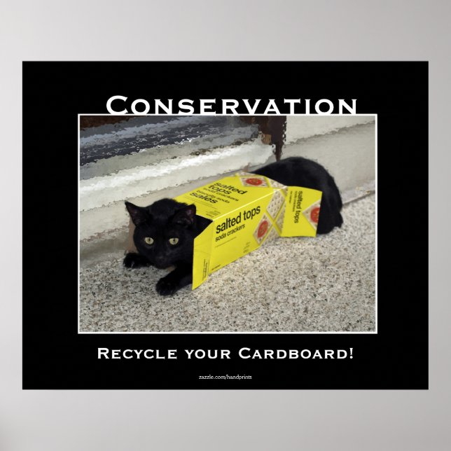 Black Cat Motivational Poster (Framsidan)