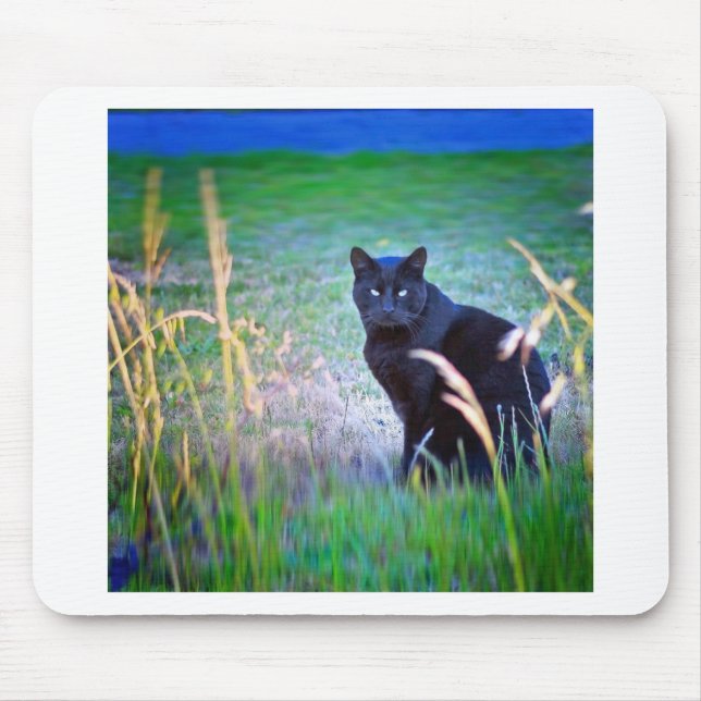 Black Cat Musmatta (Framsidan)