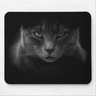 Black Cat Musmatta