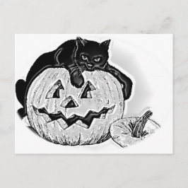 Black Cat och Spooky Pumpkin Halloween Vykort