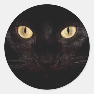 Black Cat Öga Runt Klistermärke