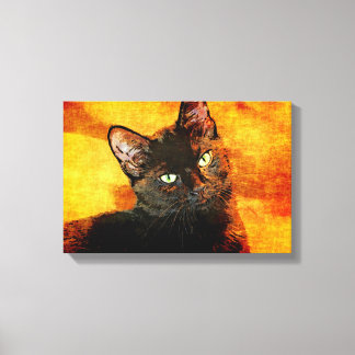 BLACK CAT OLIVE CANVASTRYCK