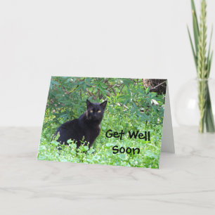 Black Cat Önskemål får ett bra kort snart