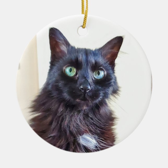 Black Cat Ornament (Framsidan)