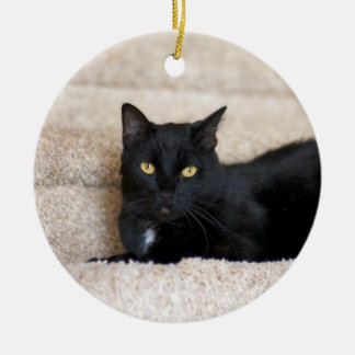 Black Cat-ornament Julgransprydnad Keramik