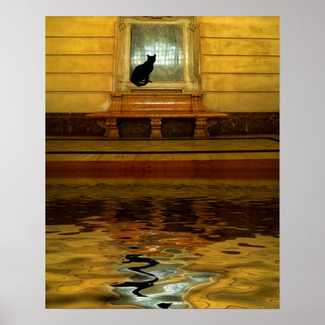 Black Cat ovanför Vatten Poster (Framsidan)