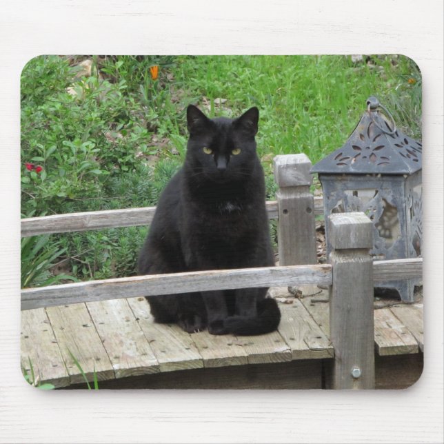 Black Cat på Bridge Mousepad Musmatta (Framsidan)