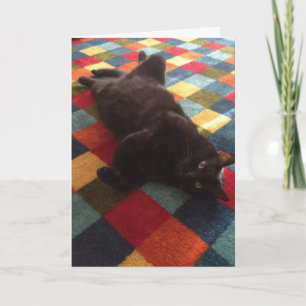 Black Cat på Matta-födelsedagskort Kort