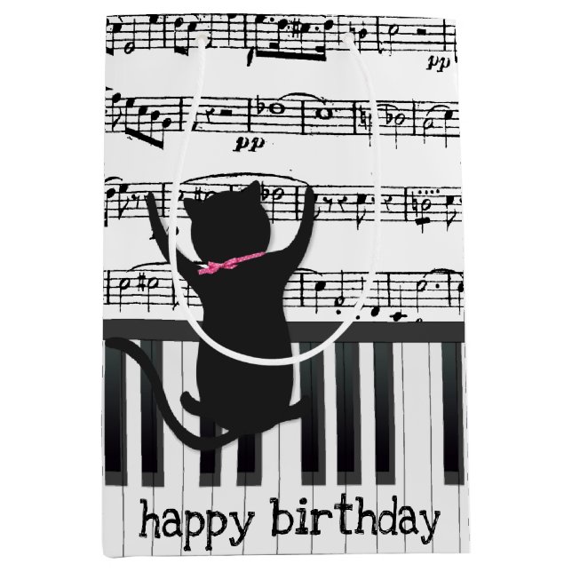 Black Cat på Piano Nycklar (Framsidan)