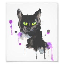 Black Cat Photo Print Fototryck