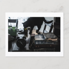 Black Cat Postcard Print by JH Thornton Vykort