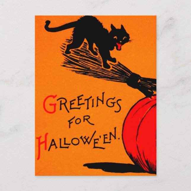 Black Cat Pumpkin & Broomstick Vintage Halloween  Vykort (Framsida)