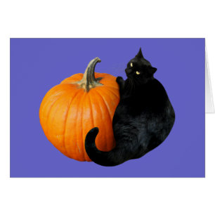 Black Cat Pumpkin Hälsningskort