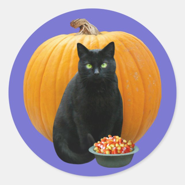 Black Cat Pumpkin Runt Klistermärke (Framsida)