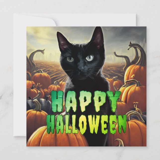 Black Cat & Pumpkins (Framsida)