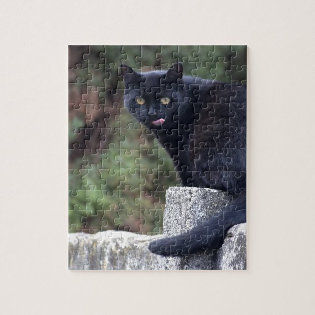 Black Cat Pussel (Vertikal)