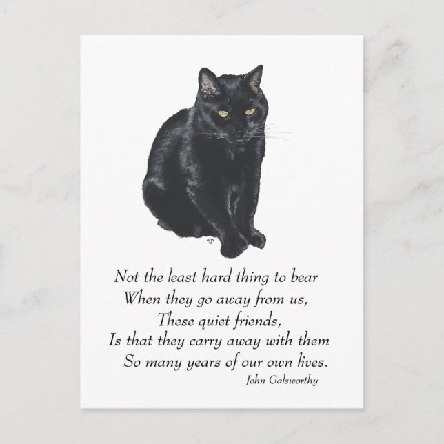 Black Cat Rainbow Bridge Vykort (Framsida)