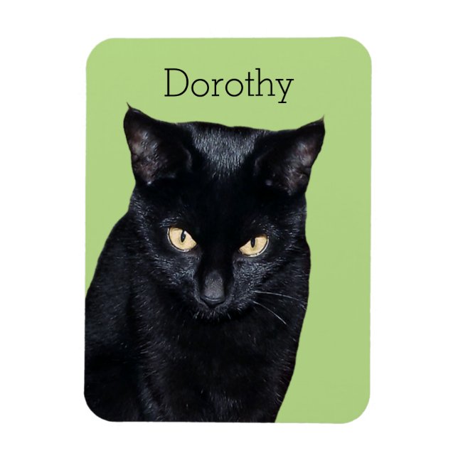 Black Cat Real Photo Kitchen Fridge Magnet (Vertikal)