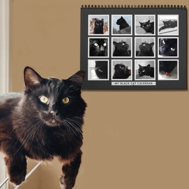 Black Cat Retro Bild Ram Pet-fotokalender Kalender (We all take pictures of our cats. (I have hundreds lol) Add your favorites to this cat calendar)