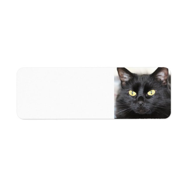 Black Cat Returadress Etikett (Framsidan)