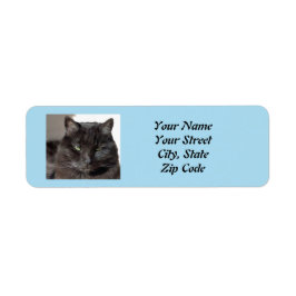 Black Cat-Returetiketter Returadress Etikett