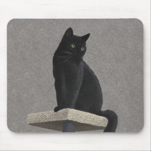 Black Cat Royalty Musmatta