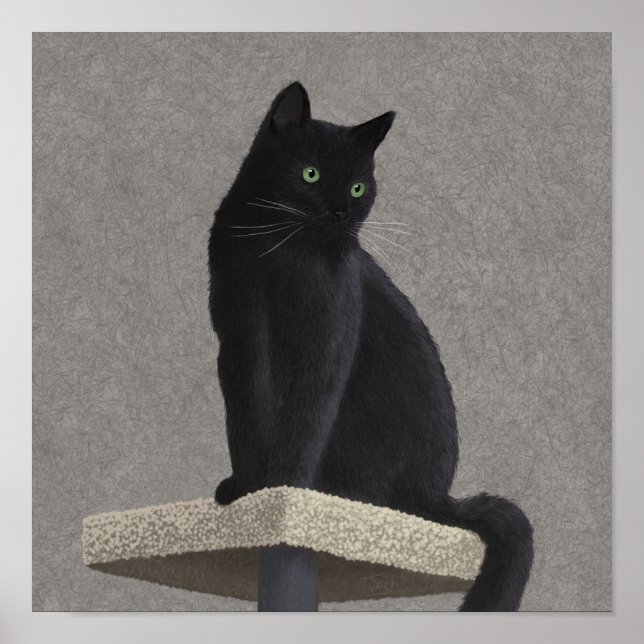 Black Cat Royalty Poster (Framsidan)