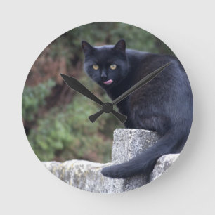 Black Cat Rund Klocka