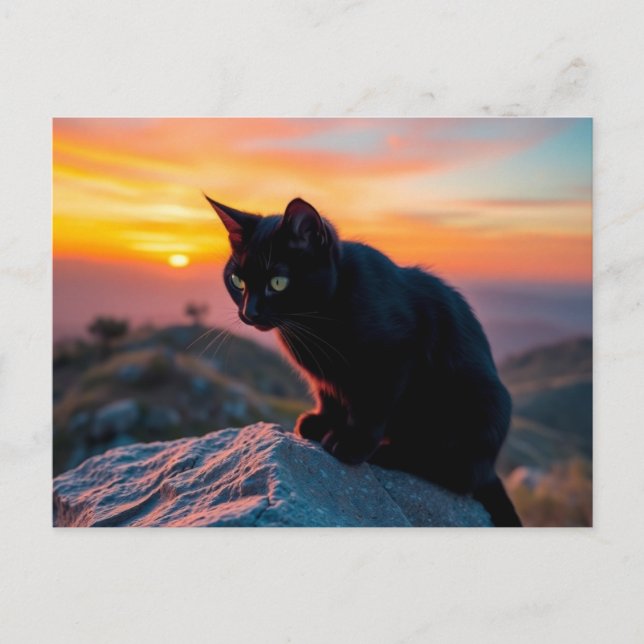 Black Cat Silhouette at Sunset Postcard Vykort (Framsida)