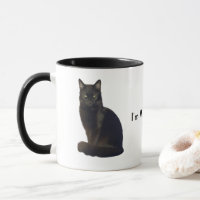 Black Cat Staring Ögon | Jag tittar på Vita
