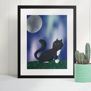 Black Cat Starry Nattmålning Poster