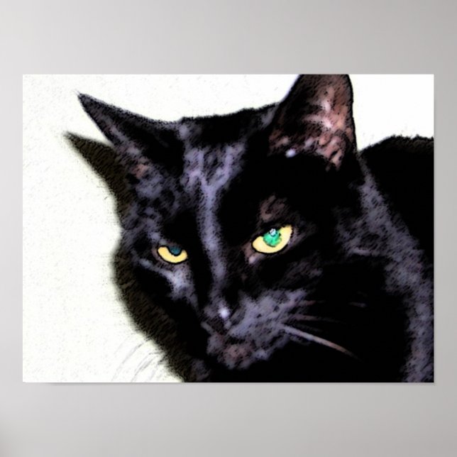 Black Cat Sumio Poster (Framsidan)